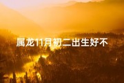 属龙11月初二出生好不好
