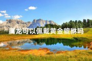 属龙可以佩戴黄金貔貅吗、属龙佩戴黄金貔貅：运势提升的秘密？
