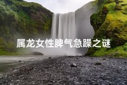 属龙女性脾气急躁之谜
