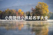 小狗陪伴小孩起名字大全