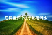 店铺里多个柱子影响风水吗-店铺里多个柱子影响风水吗视频