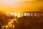 02年是什么命的人-2002年：揭秘那年的命格之谜