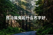 姓马属兔起什么名字好、《马年宝宝取名：如何为兔年萌宝起名？》