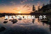 属龙与猴生肖相配，合不合？