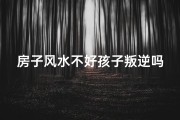 房子风水不好孩子叛逆吗_房子风水不佳，孩子为何叛逆？