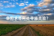 阜阳求签何处寺庙灵验？