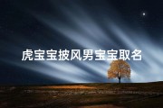 虎宝宝披风男宝宝取名