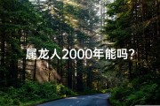 属龙人2000年能吗？运势揭秘