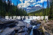 带火的蝎子宝宝取名字男孩