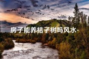 房子能养桔子树吗风水-《房子风水：能否在室内养桔子树？》