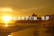 小孩起名张罗打鼓、张罗打鼓是什么意思