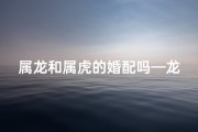 属龙和属虎的婚配吗—龙虎缘定：属龙属虎婚配佳话