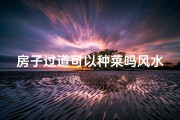 房子过道可以种菜吗风水好吗-过道可以放植物吗