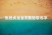 张姓虎宝宝双胞胎取名字