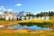 易学占卜数字吉凶详解图-《易学占卜数字吉凶详析图解大全》