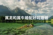 属龙和属牛婚配好吗婚姻如何—属龙与属牛婚配合适吗