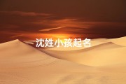 沈姓小孩起名