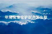 年尾兔宝宝驴取名怎么取_给驴取什么名字