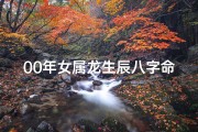 00年女属龙生辰八字命理-2000年属龙女性生辰八字命理揭秘