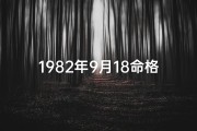 1982年9月18命格男;1982年9月18日出生命运