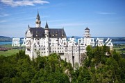 属龙人能开奶茶店吗怎么样