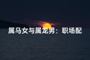 属马女与属龙男：职场配对，火花还是碰撞？