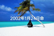 2002年1月24日命格：命运转折的神奇时刻