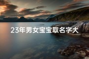 23年男女宝宝取名字大全(23年属龙男孩名字大全属龙男孩起名宜用字)