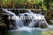 小孩取名2020免费大全-《2020免费大全：小孩取名新灵感集锦》