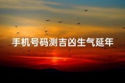 手机号码测吉凶生气延年天医、手机号测吉凶，生日解码运势揭秘
