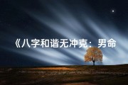 《八字和谐无冲克：男命运势佳选》