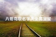 八哥鸟取名字大全男宝宝(我养了一只八哥还没给取名字,大家给点意见吧 )