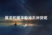 属龙和属羊的冲不冲突呢