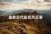 曲家后代起名风云录