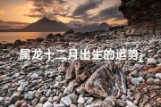 属龙十二月出生的运势;属龙十二月出生命运如何