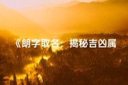 《朗字取名：揭秘吉凶属性之谜》