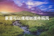 家里可以摆榕树摆件吗风水—家里可以摆榕树摆件吗风水讲究