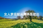 女人梦见蛇从身体里爬出来很多;女人梦见蛇从身体里爬出来很多蛇