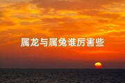 属龙与属兔谁厉害些