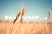 猴宝宝八字起名指南，五行命理与吉祥取名全解析
