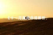 《十一月属虎命格解析：运势与性格揭秘》