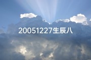 20051227生辰八字(20051228出生)