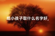 给小孩子取什么名字好,姓陈_《陈氏宝贝：为萌娃起名，寓意美好成长》