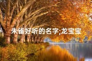 朱雀好听的名字;龙宝宝取名：朱雀玄武，寓意吉祥
