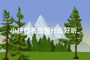 小孩起名任恒什么好听、任恒远名字寓意