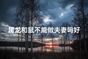 属龙和鼠不能做夫妻吗好吗—属龙鼠配对禁忌：婚姻能否美满？