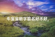 牛宝宝朗字取名好不好,牛宝宝用朗字好不好