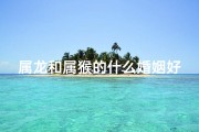 属龙和属猴的什么婚姻好,属龙属猴婚姻配对：和谐共舞的生肖佳缘