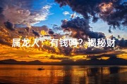 属龙人：有钱吗？揭秘财富密码