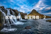 虎啸山林，萌宝降临：2岁虎宝宝男孩名字大揭秘